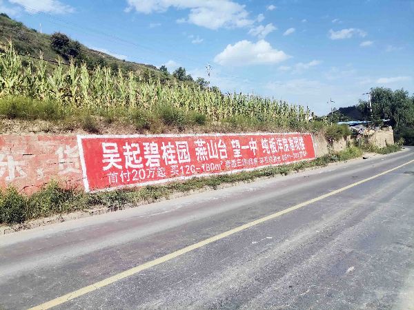碧桂园房地产吴起县（手绘）墙体广告精选照片近景5