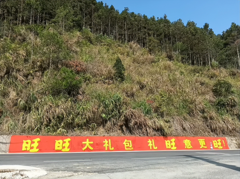 旺旺 (2)