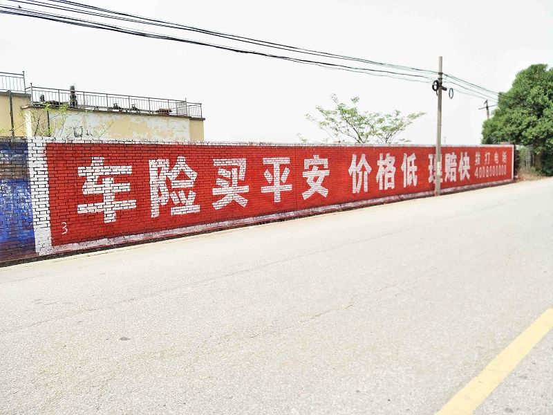 平安保险陕西地区（手绘）墙体广告精选照片近景1