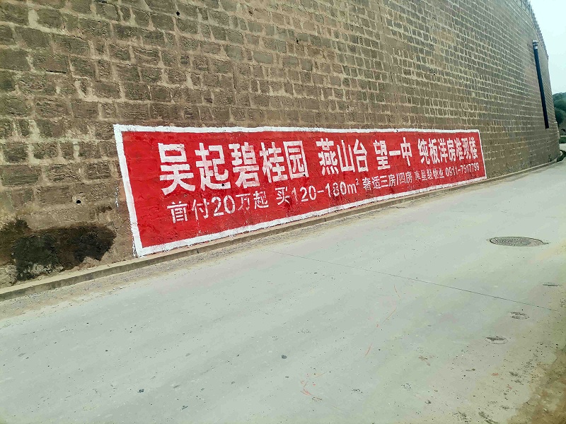 碧桂园房地产吴起县（手绘）墙体广告精选照片近景3