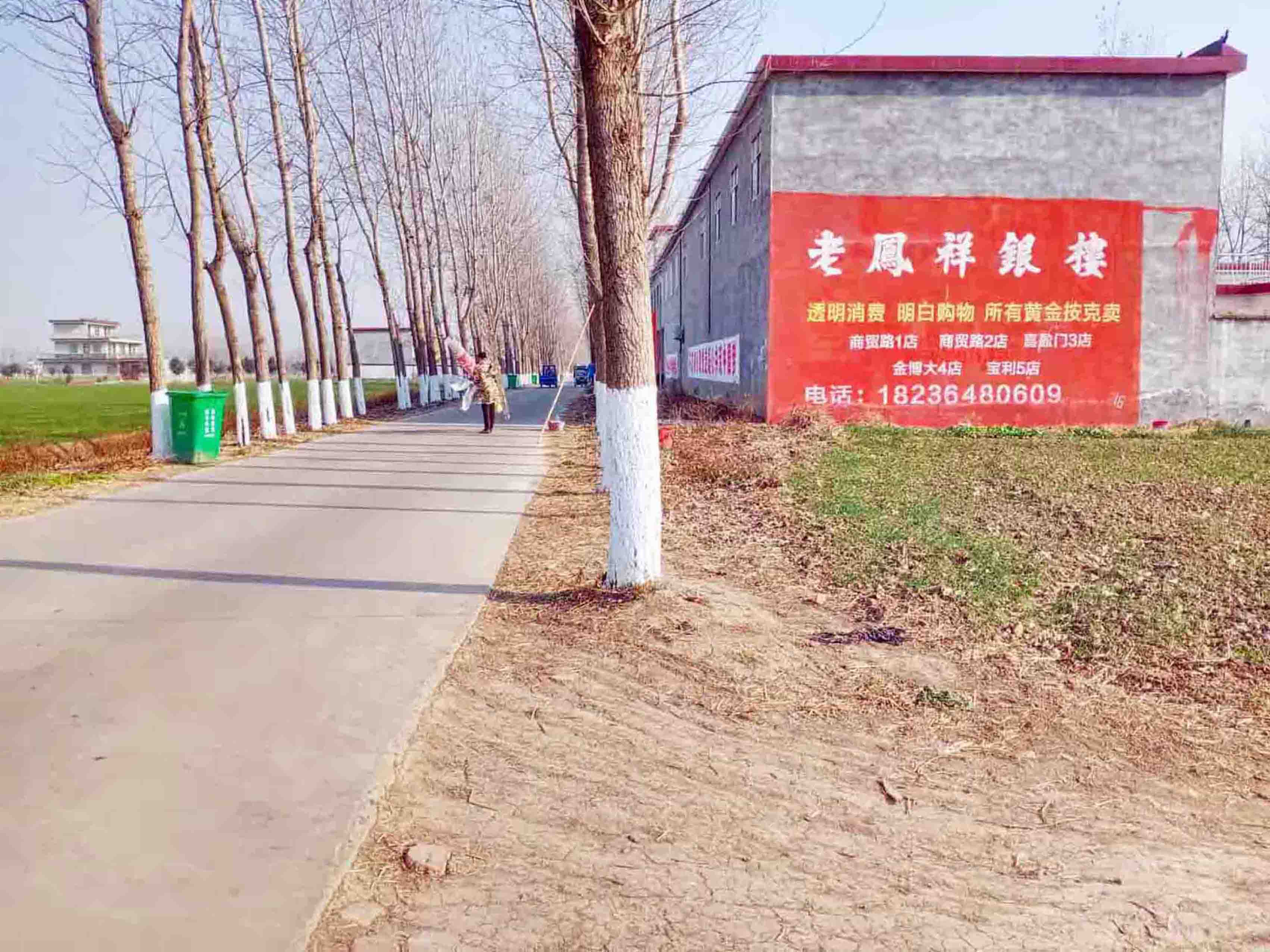 老凤祥驻马店地区（手绘）墙体广告精选照片远景2