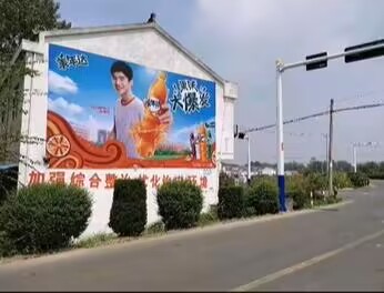 墙体广告 (3)